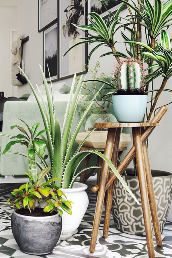 plants-on-wood-stool