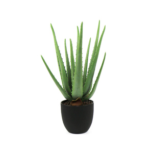 Faux aloe in black pot from Amazon - Design Inspiration Curated by Rare and Worthy Co