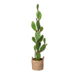 Tall Faux Cactus in Rattan Basket