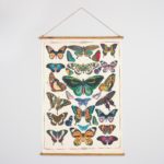 Vintage Entimology butterfly wall hanging art print